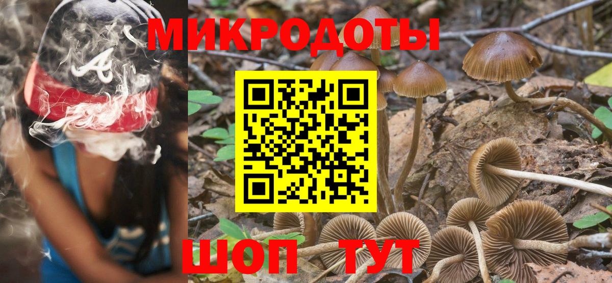 Узловая  Галлюциногенные грибы Psilocybe  Вход с VPN 