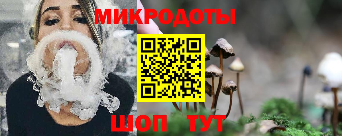 Псилоцибиновые грибы GOLDEN TEACHER Узловая